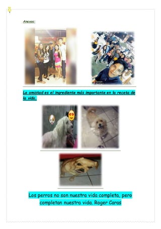 Anexos:
La amistad es el ingrediente más importante en la receta de
la vida.
Los perros no son nuestra vida completa, pero
completan nuestra vida. Roger Caras
 