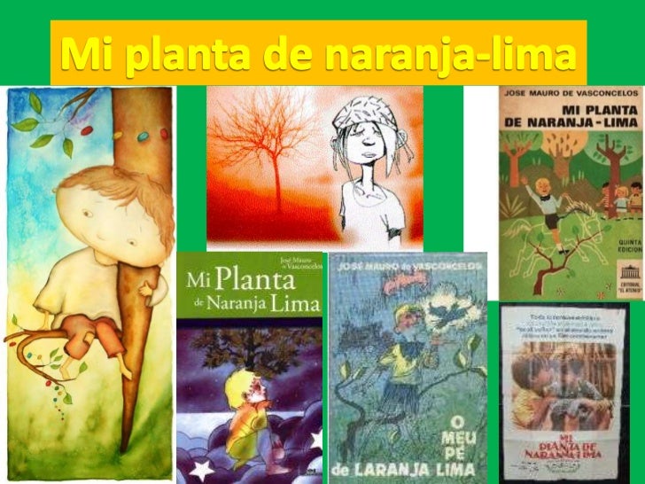 Imagenes Sensoriales De Mi Planta De Naranja Lima | mi planta de naranja lima Imagenes Sensoriales De Mi Planta De Naranja Lima | mi planta de naranja lima