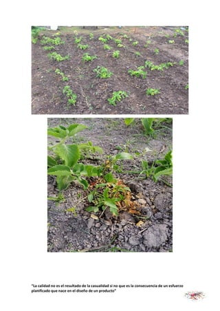 “La calidad no es el resultado de la casualidad si no que es la consecuencia de un esfuerzo
planificado que nace en el diseño de un producto”
 