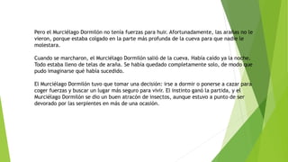 Pero el Murciélago Dormilón no tenía fuerzas para huir. Afortunadamente, las arañas no le
vieron, porque estaba colgado en la parte más profunda de la cueva para que nadie le
molestara.
Cuando se marcharon, el Murciélago Dormilón salió de la cueva. Había caído ya la noche.
Todo estaba lleno de telas de araña. Se había quedado completamente solo, de modo que
pudo imaginarse qué había sucedido.
El Murciélago Dormilón tuvo que tomar una decisión: irse a dormir o ponerse a cazar para
coger fuerzas y buscar un lugar más seguro para vivir. El instinto ganó la partida, y el
Murciélago Dormilón se dio un buen atracón de insectos, aunque estuvo a punto de ser
devorado por las serpientes en más de una ocasión.
 