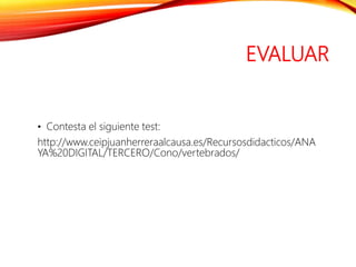 EVALUAR
• Contesta el siguiente test:
http://www.ceipjuanherreraalcausa.es/Recursosdidacticos/ANA
YA%20DIGITAL/TERCERO/Cono/vertebrados/
 