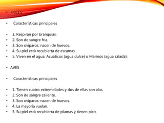 • PECES
• Características principales
• 1. Respiran por branquias.
• 2. Son de sangre fría.
• 3. Son ovíparos: nacen de huevos.
• 4. Su piel está recubierta de escamas.
• 5. Viven en el agua. Acuáticos (agua dulce) o Marinos (agua salada).
• AVES
• Características principales
• 1. Tienen cuatro extremidades y dos de ellas son alas.
• 2. Son de sangre caliente.
• 3. Son ovíparos: nacen de huevos.
• 4. La mayoría vuelan.
• 5. Su piel está recubierta de plumas y tienen pico.
 