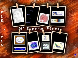 P L E. y P L N. Mª Eugenia  Pérez. MIS WEBS Y BLOGS 