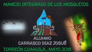 MANEJO INTEGRADO DE LOS MOSQUITOS
TORREÓN COAHUILA , MAYO 2018
 