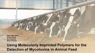 Using Molecularly Imprinted Polymers for the
Detection of Mycotoxins in Animal Feed
Adam Weinstein
Dhilan Bekah
Kai Slaughter
Sahaj Dhamija
 