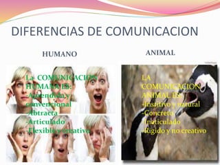 DIFERENCIAS DE COMUNICACION
HUMANO ANIMAL
LA
COMUNICACION
ANIMAL ES:
-Institivo y natural
-Concreto
-Inaticulado
-Rigido y no creativo
La COMUNICACION
HUMANA ES:
-Aprendida y
convencional
-Abtracta
-Articulado
-Flexible y creativo
 