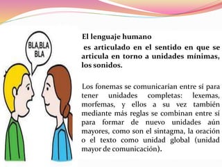 El lenguaje humano
es articulado en el sentido en que se
articula en torno a unidades mínimas,
los sonidos.
Los fonemas se comunicarían entre sí para
tener unidades completas: lexemas,
morfemas, y ellos a su vez también
mediante más reglas se combinan entre sí
para formar de nuevo unidades aún
mayores, como son el sintagma, la oración
o el texto como unidad global (unidad
mayor de comunicación).
 