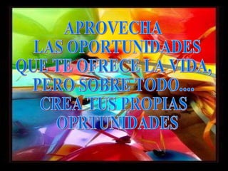 APROVECHA LAS OPORTUNIDADES QUE TE OFRECE LA VIDA, PERO SOBRE TODO.... CREA TUS PROPIAS OPRTUNIDADES