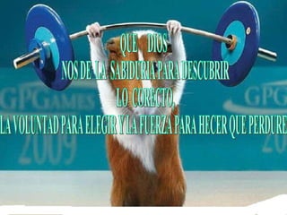 QUE DIOS NOS DE LA SABIDURIA PARA DESCUBRIR LO CORECTO, LA VOLUNTAD PARA ELEGIR Y LA FUERZA PARA HECER QUE PERDURE