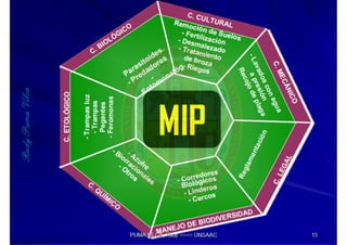 MIP – Picudo negro de Platano