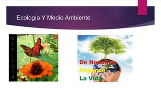 Ecología Y Medio Ambiente
 