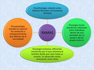 Psicofisiología: relación entre Sistema Nervioso y la Conducta Humana Psicopatología: estudia en especial las conductas o comportamientos que difieren de la normalidadPsicología Social: estudia las relaciones entre individuos dentro de una sociedad, de un grupo y de los grupos entre siRAMASPsicología Evolutiva: diferentes momentos por lo que atraviesa el hombre desde que nace hasta su muerte. Su desarrollo social, emocional, entre otros