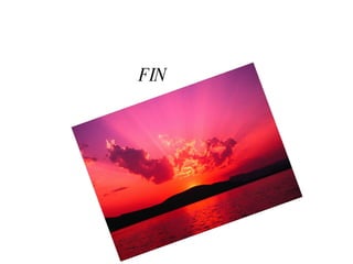 FIN 