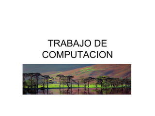 TRABAJO DE COMPUTACION 