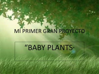 MI PRIMER GRAN PROYECTO

   “BABY PLANTS”
 