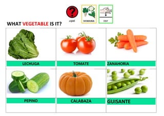 WHAT VEGETABLE IS IT?
LECHUGA TOMATE ZANAHORIA
PEPINO CALABAZA GUISANTE
 