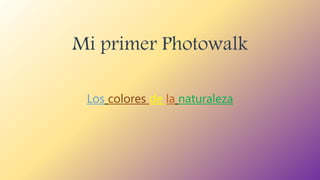 Mi primer Photowalk
Los colores de la naturaleza
 
