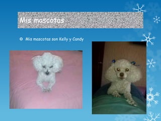 Mis mascotas 
 Mis mascotas son Kelly y Candy 
 
