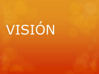 VISIÓN 
 