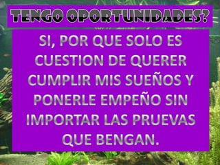 TENGO OPORTUNIDADES?SI, POR QUE SOLO ES CUESTION DE QUERER CUMPLIR MIS SUEÑOS Y PONERLE EMPEÑO SIN IMPORTAR LAS PRUEVAS QUE BENGAN. 
