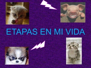 ETAPAS EN MI VIDA