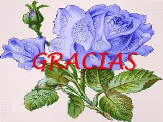 GRACIAS
 