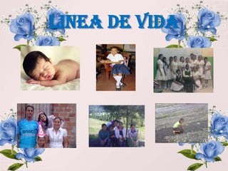 LINEA DE VIDA
 