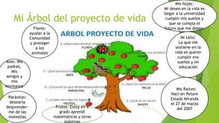 Mi Árbol del proyecto de vida
Mis Raíces:
Nací en Petare
Estado Miranda
el 27 de marzo
del 2007
Mí tallo:
Lo que me
sostie...