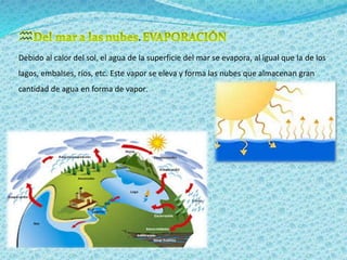  
. 
Debido al calor del sol, el agua de la superficie del mar se evapora, al igual que la de los 
lagos, embalses, ríos, etc. Este vapor se eleva y forma las nubes que almacenan gran 
cantidad de agua en forma de vapor. 
 