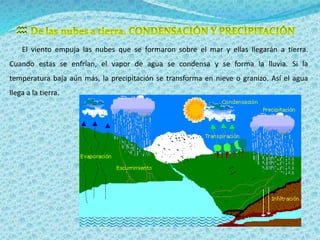  
El viento empuja las nubes que se formaron sobre el mar y ellas llegarán a tierra. 
Cuando estas se enfrían, el vapor de agua se condensa y se forma la lluvia. Si la 
temperatura baja aún más, la precipitación se transforma en nieve o granizo. Así el agua 
llega a la tierra. 
 