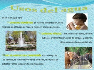 Usamos el agua para: 
 . En nuestra alimentación, en la 
limpieza, en el lavado de ropa, la higiene y el aseo personal... 
 . En la limpieza de calles, fuentes 
públicas, ornamentación, riego de parques y jardines, 
otros usos para la comunidad, etc. 
 . Para el riego de 
los campos, la alimentación de los animales, la limpieza de 
establos y otros usos para la cría de ganado. 
 