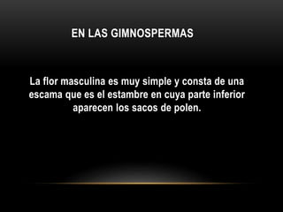 EN LAS GIMNOSPERMAS
La flor masculina es muy simple y consta de una
escama que es el estambre en cuya parte inferior
aparecen los sacos de polen.
 