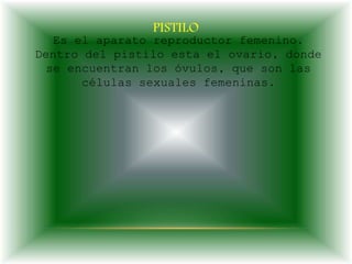 PISTILO
Es el aparato reproductor femenino.
Dentro del pistilo esta el ovario, donde
se encuentran los óvulos, que son las
células sexuales femeninas.
 