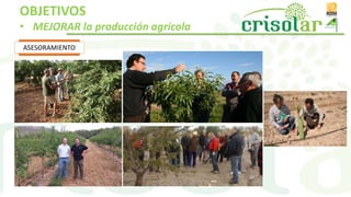 ASESORAMIENTO
OBJETIVOS
• MEJORAR la producción agrícola
 