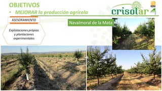 Explotaciones própias
y plantaciones
experimentales
ASESORAMIENTO
Navalmoral de la Mata
OBJETIVOS
• MEJORAR la producción agrícola
 
