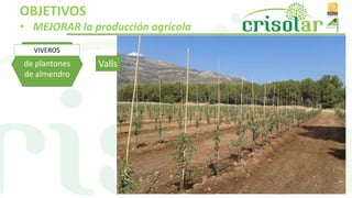 de plantones
de almendro
VIVEROS
Valls
OBJETIVOS
• MEJORAR la producción agrícola
 