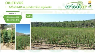 de plantones
de almendro
VIVEROS
OBJETIVOS
• MEJORAR la producción agrícola
Valls
 