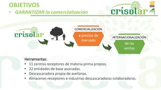 Herramientas:
• 11 centros receptores de materia prima propios.
• 22 entidades de base asociadas.
• Descascaradora propia de avellanas.
• Almacenes receptores e industrias descascaradoras colaboradoras.
OBJETIVOS
• GARANTIZAR la comercialización
a precios de
mercado
COMERCIALIZACIÓN
de las
ventas
INTERNACIONALIZACIÓN
 