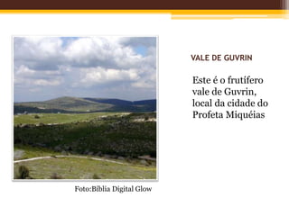 VALE DE GUVRIN
Este é o frutífero
vale de Guvrin,
local da cidade do
Profeta Miquéias
Foto:Bíblia Digital Glow
 