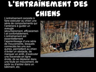 Bonne habileté avec les chiens