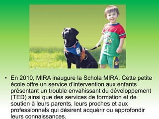 En 2010, MIRA inaugure la Schola MIRA. Cette petite école offre un service d’intervention aux enfants présentant un trouble envahissant du développement (TED) ainsi que des services de formation et de soutien à leurs parents, leurs proches et aux professionnels qui désirent acquérir ou approfondir leurs connaissances. 