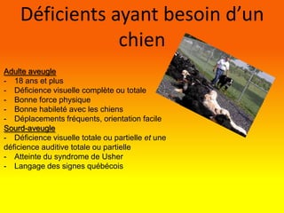 Déficients ayant besoin d’un chienAdulte aveugle18 ans et plus
