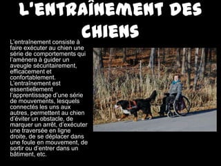 Bonne habileté avec les chiens