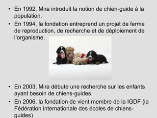 En 1992, Mira introduit la notion de chien-guide à la population.En 1994, la fondation entreprend un projet de ferme de reproduction, de recherche et de déploiement de l’organisme.En 2003, Mira débute une recherche sur les enfants ayant besoin de chiens-guides.En 2006, la fondation de vient membre de la IGDF (la Fédération internationale des écoles de chiens-guides)