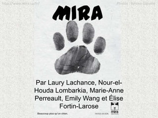 Photos : Sylvain Giguère http://www.mira.ca/fr/ MIRA Par Laury Lachance, Nour-el-HoudaLombarkia, Marie-Anne Perreault, Emily Wang et Élise Fortin-Larose 