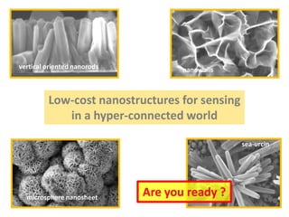 Low-cost nanostructures for sensing
in a hyper-connected world
vertical oriented nanorods
sea-urcin
nanowalls
microsphere nanosheet Are you ready ?
 