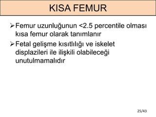 25/43
KISA FEMUR
Femur uzunluğunun <2.5 percentile olması
kısa femur olarak tanımlanır
Fetal gelişme kısıtlılığı ve iske...