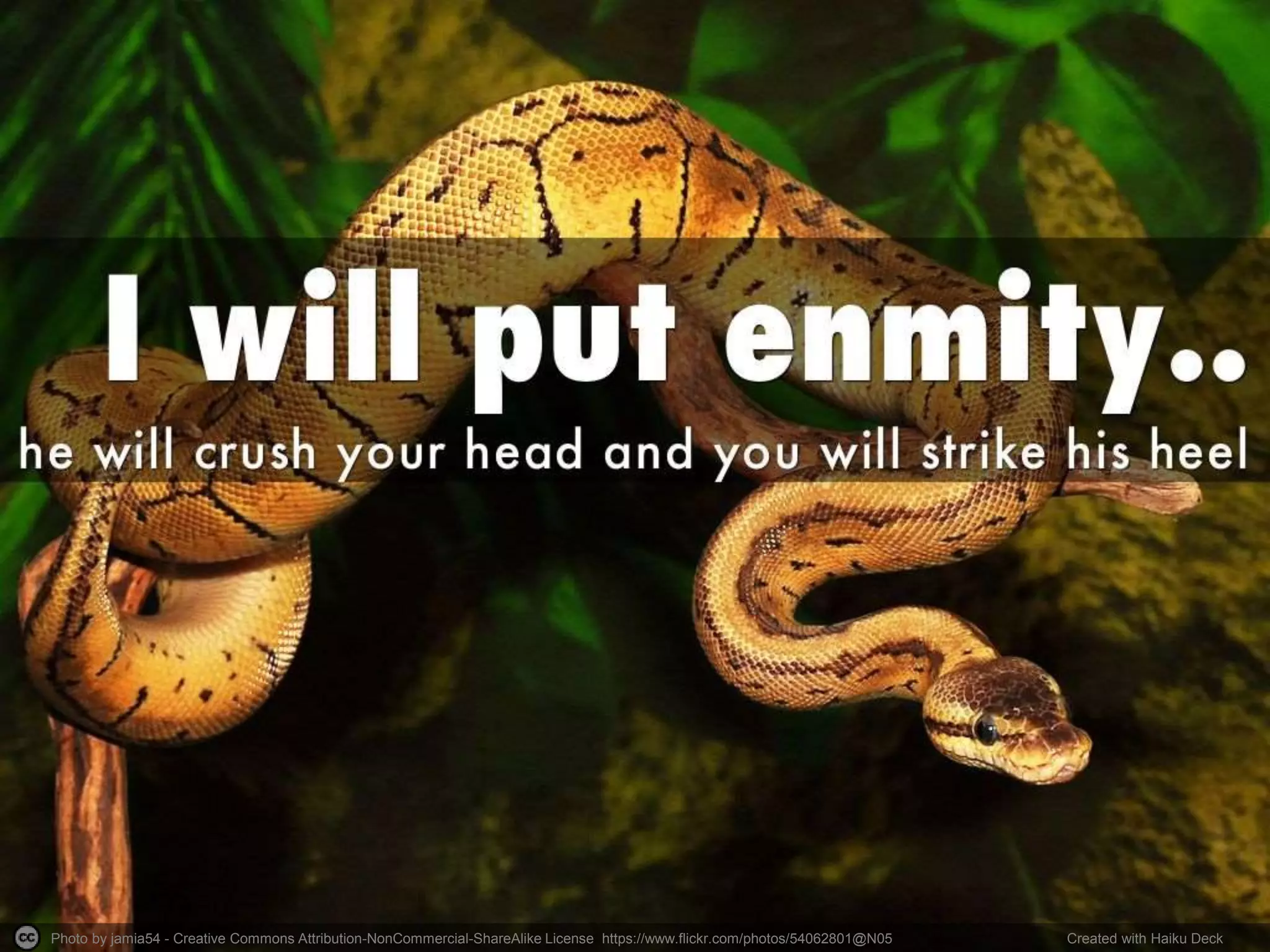 Photo by jamia54 - Creative Commons Attribution-NonCommercial-ShareAlike License https://www.flickr.com/photos/54062801@N05 Created with Haiku Deck 
 