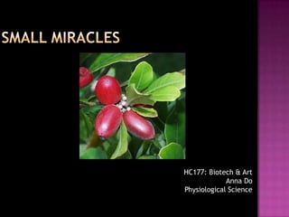 Small Miracles HC177: Biotech & Art Anna Do Physiological Science 