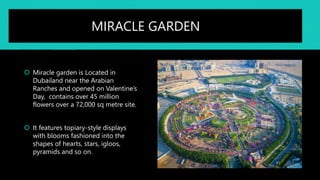  Miracle garden is Located in
Dubailand near the Arabian
Ranches and opened on Valentine’s
Day, contains over 45 million
flowers over a 72,000 sq metre site.
 It features topiary-style displays
with blooms fashioned into the
shapes of hearts, stars, igloos,
pyramids and so on.
MIRACLE GARDEN
 